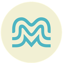 VM-Icon